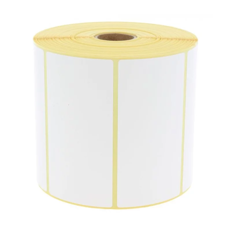 Carton de 10 rouleaux - 1000 Étiquettes 100 x 50 mm - Thermique Permanent - Mandrin Ø25mm